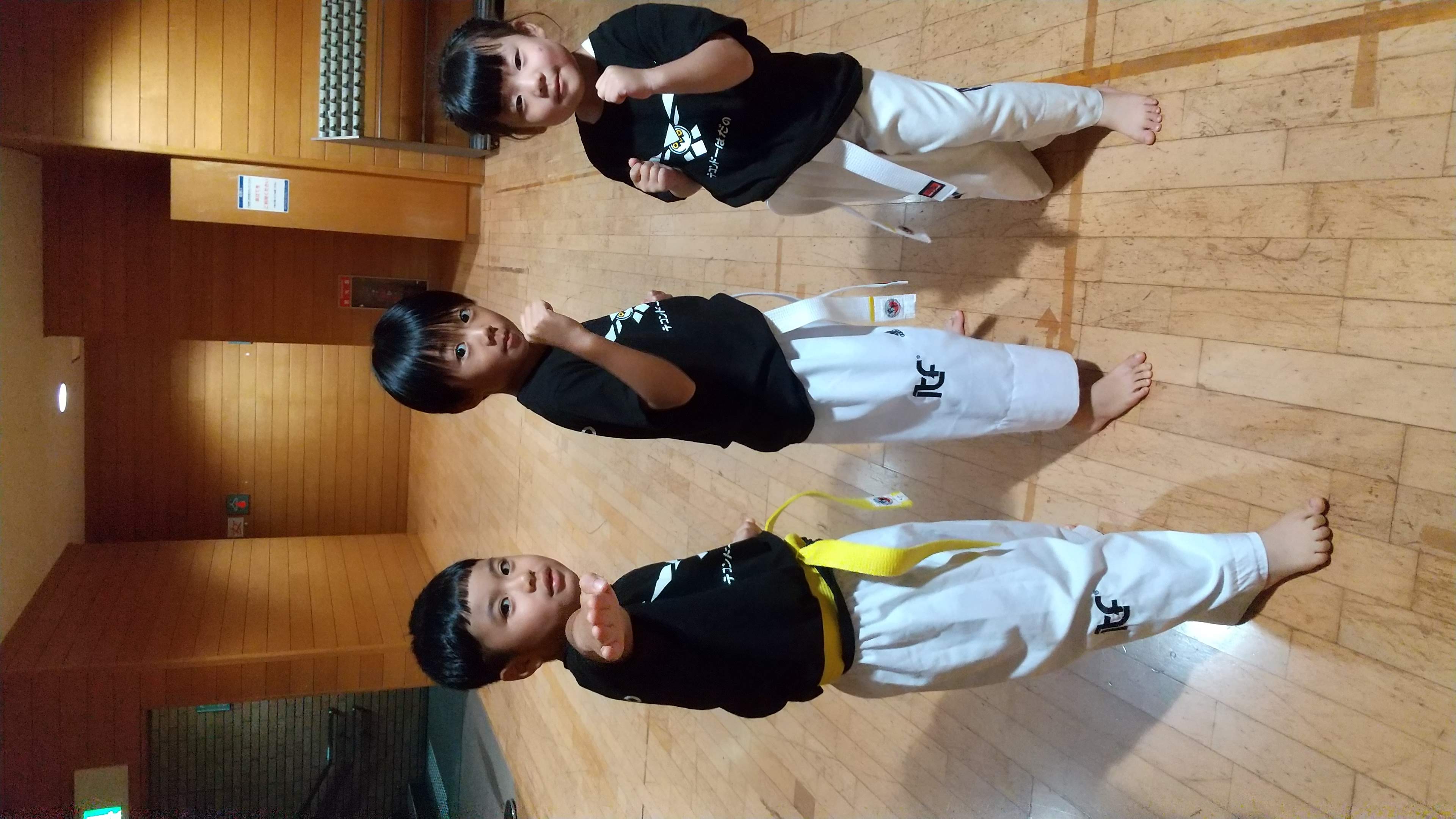 テコンドーはだのの子どもたち